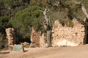 Die Ruine Mare de Déu de Gràcia